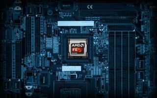 富兰克林公牛 VS 奥克兰鳄蜥